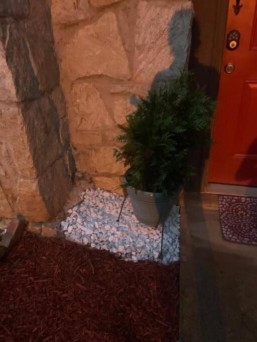 #2br Cozy - Mins To Historic Stm Amusement Park! Stone Mountain