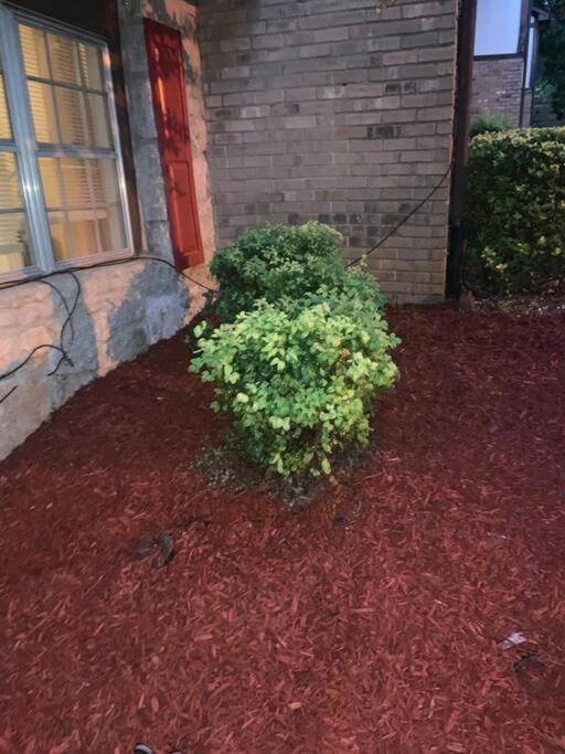 #2br Cozy - Mins To Historic Stm Amusement Park! Stone Mountain
